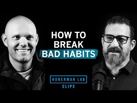 How to Break Bad Habits | James Clear & Dr. Andrew Huberman