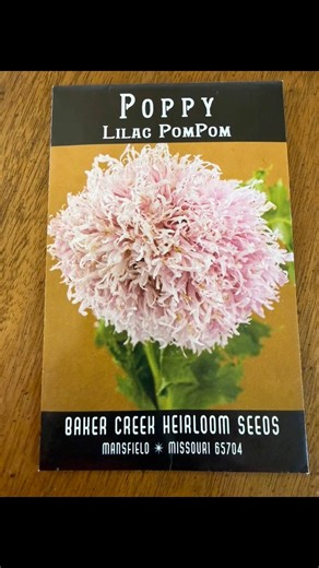 Only 30 more days until spring! Sharing a few more seeds I’ll be growing this year that just arrived! I already have several trays of dahlias, mixed celosia, tomatoes, cardinal basil, sunset hibiscus, champagne double hollyhocks and more started inside, as well as strawflowers, poppies, celosia, penstemon, foxglove, and various other flower seeds started outside using the winter jug sowing method (which is a first for me and a fun experiment)! Stay tuned for results. Note I’ve already sprinkled 