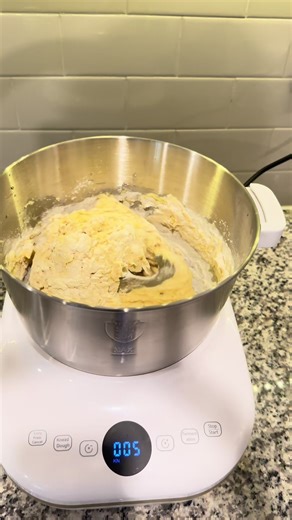 AIZIYO DoughChief 7Qt Electric Dough Mixer with Ferment Function, Dough Maker with 304 Stainless Steel Bowl, Microcomputer Control, Face-up Touch Panel, Easy To Clean for Bread & Pizza#ethiopian_tik_tok #foryoupage #kichenware #pizzalover