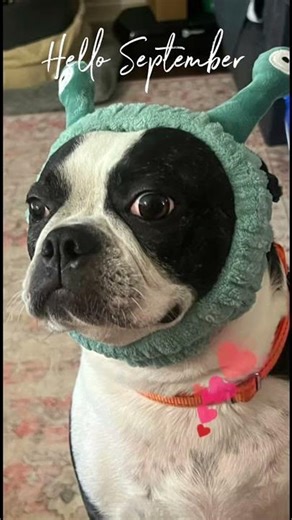 Embrace Fall Vibes with a Fresh Start! Hello September #September #FallVibes