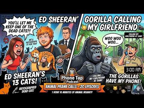 "I'LL LET YOU KEEP ONE OF THE DEAD CATS... HE'LL SIGN IT FOR YOU!" 🐱💀 (Ed Sheeran's Insane Request)