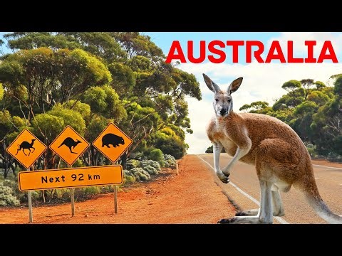 Australia Travel Guide | Sydney, Melbourne, Brisbane, Perth, Adelaide & Hobart | Places Worth Going