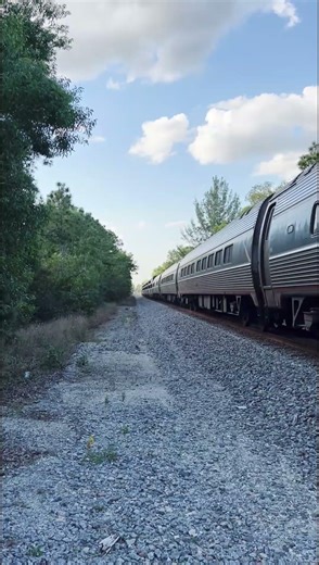 Caution! Fast Amtrak Silver Meteor Approaching