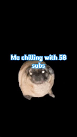 Me chilling with 58 subs #funny #helpmemakethismakesense #memes #subscribe