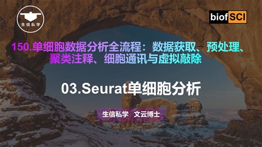 03.Seurat单细胞分析【150.单细胞数据分析全流程：数据获取、预处理、聚类注释、细胞通讯与虚拟敲除】