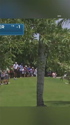 Scottie Scheffler lost his driver on his tee shot 😳