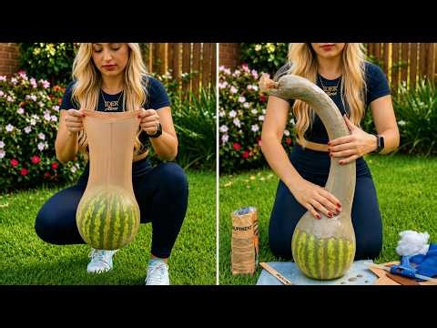 14 DIY Garden Ideas to Make Your Backyard Look Expensive
