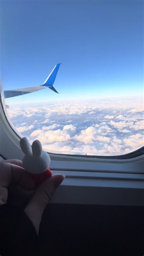 Miffys first airplane ride #miffy #unboxing #yay