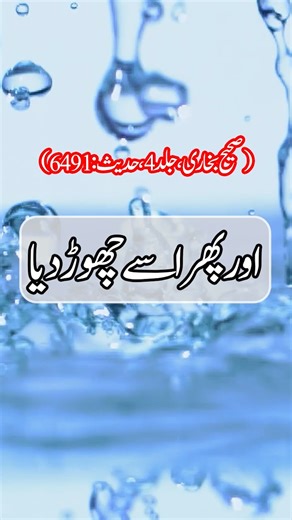 Hadith in Urdu ✍️🥀 || Reels Hadees 🌹|| Best Islamic Hadith Of Prophet Muhammad PBUH 🌷 || Hadees Sharif in Urdu 💞 || Hadees Nabvi || Asaan Hadees || Hadees Mubarak || Collection of Urdu Hadith Reference Hadith: Mishkat Shareef :63 . . . . . #Hadith #hadees #hadis #hadithoftheday #hadithoftheprophet #HadithofProphetMuhammad #hadeesoftheday #hadeessharif #hadeesepaak #HadeeseNabvi #hadeesinurdu #hadisnajafi #hadisnabi #hadisbukhari #reelschallenge #reelkarofeelkaro #reelsfbシ #reelsfypシ #reelsfa