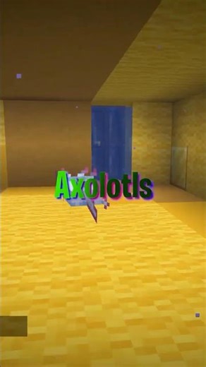 Testing My Minecraft Staff To See If They Cheat