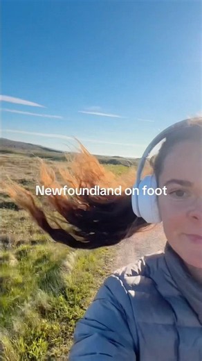 Just another reason why you should go to Newfoundland