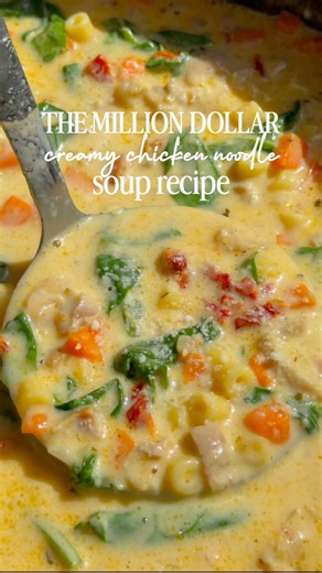 Million Dollar Chicken Noodle Soup