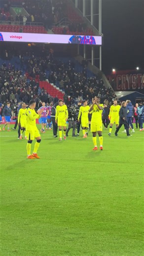 Tottenham Hotspur vs Crystal Palace Game Highlights