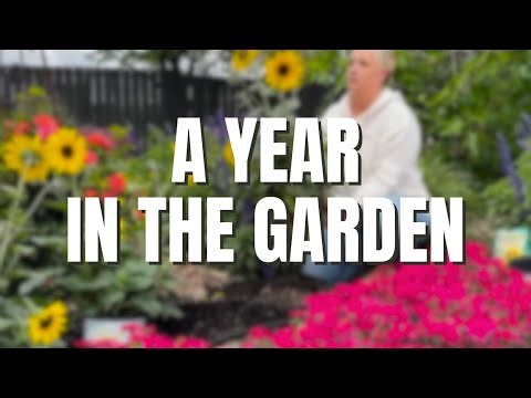 A Year in the Garden 🌳 12 Months of Garden Progress, Transformation & Growth