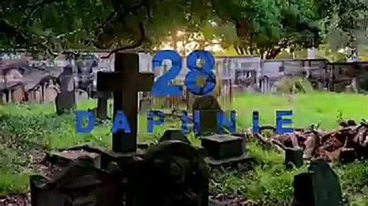 Daphnie - 28 (Official Visualiser)