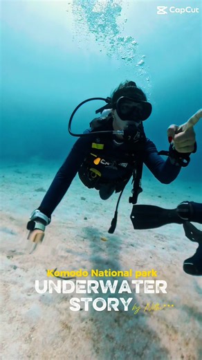 Scuba Diving: Discover Underwater Adventures