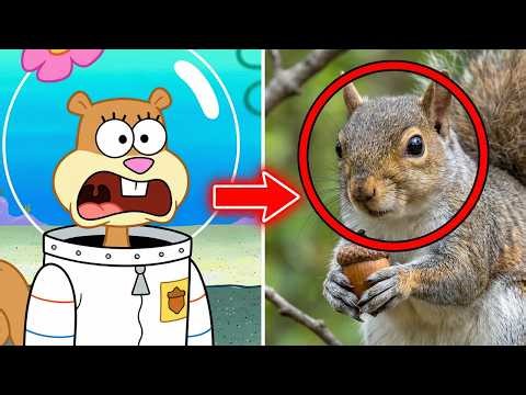 This Squirrel Looks Like Sandy — Here’s the Real Biology
