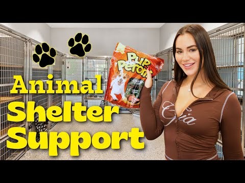 PetSmart Haul for Shelter Animals! 🐾🎁