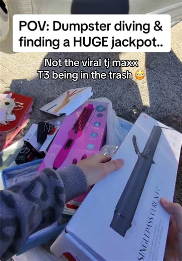 Incredible Dumpster Diving Haul at TJ Maxx