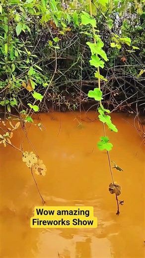 Amazing Fireworks Explosion 🎆 | Mind Blowing Experiment 🔥