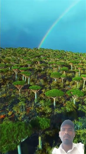 🏝️ “Earth’s Most Alien Island – You Won’t Believe This! #shorts