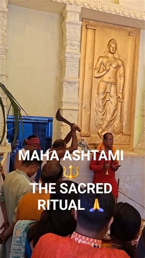 ✨ Sugarcane Sacrifice on Maha Ashtami 🙏 | Durga Puja 2026 ✨