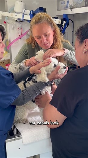 A Mobile Clinic Made All the Difference for Coco