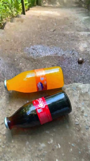 💣 Bottle Explosion in Slow Motion! #fyp #slowmo #viral