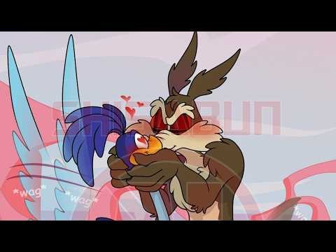 Coyote SMOOCHES the ROAD RUNNER?!! (Coyote Vs ACME Comic Dub)