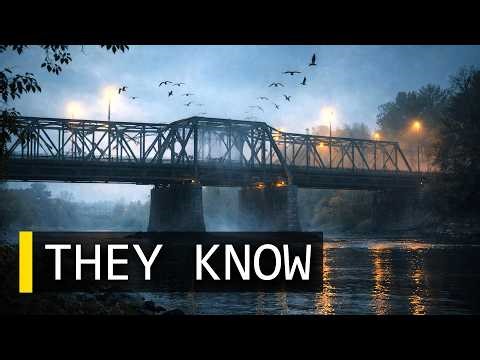 The Bridge Where Birds Refused to Fly Across | Calm Male Narration