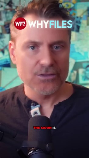 🚨 The Moon is a HOLLOW SPACESHIP – Artificial Structure Brought by "Someone Else"Watch this mind-bending clip from The Why Files: "The Moon is actually more like a planet than a moon at one quarter of the Earth's size." "No other object in the solar system has a moon this large. This occurs nowhere else." "The moon orbits much more closely than it should and its orbit is also a mystery." "It's the only object we've ever observed with a near perfectly circular orbit." "Because of this near perfe