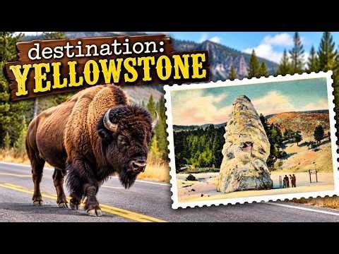Returning To Yellowstone National Park ~ It's Good To Be Back!