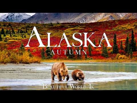 Alaska 4K 🍁 Autumn Colors Beneath Denali 🍁 Rivers, Tundra and Rugged Mountains