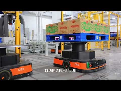 Chubang Intelligent Automated Storage and Retrieval System