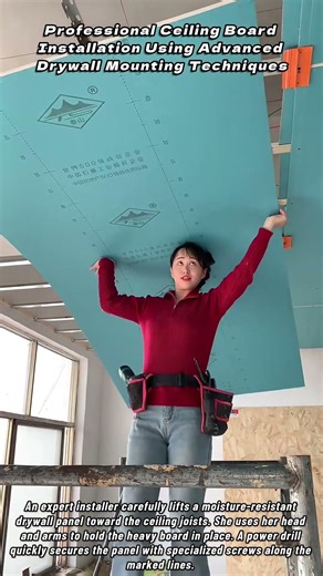 Professional Ceiling Board Installation Using Advanced Drywall Mounting Techniques