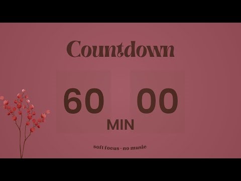 60 Min Deep Work Timer ⏳ Silent Countdown | No Music, Soft Focus