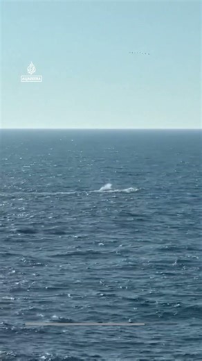 Rescued humpback whale Timmy set free in the North Sea