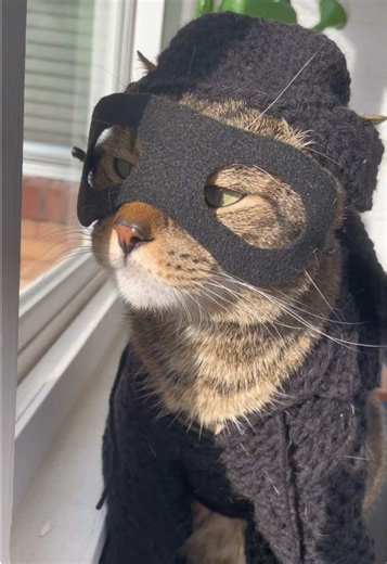 Cosplay Cat Hat Crochet Ideas from The Princess Bride
