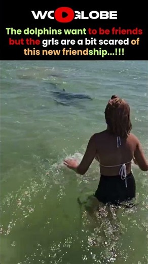 She Was Playing at the Beach… Then Dolphins Appeared 😳🐬🌊