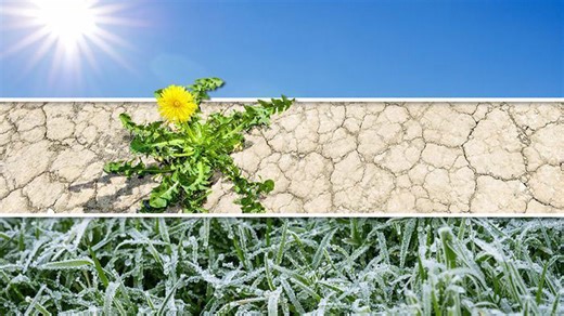 3-Tage-Wetter: Sonnenknaller, Trockenheit und Nachtfröste