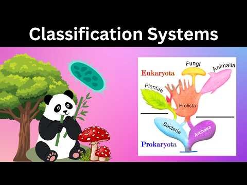 The Five Kingdom Classification System Explained Simply | Whitaker's Five Kingdom System| Bioscholar