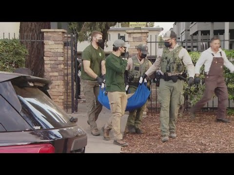 Neighbors relieved after three-year-old mountain lion caught in Escondido