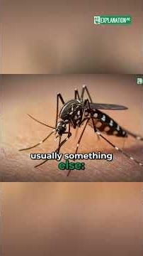 Mosquito Bites Itch: Your Body's Strange Reaction #shorts