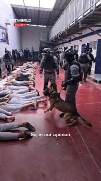 Thousands of Palestinian prisoners at risk of execution under Israel’s death penalty law