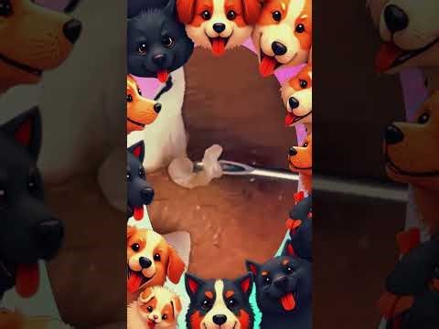 Blackheads Removal | Acne Treatment and Very Satisfying Satisfying Pimple pop #blackheads