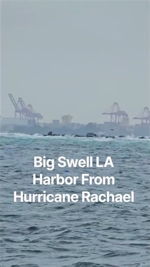 LA Harbor Large Swell and High Tide