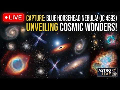 LIVE: Let's Capture the Blue Horsehead Nebula