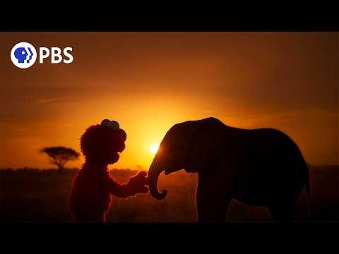 'Sesame Street & the Great Elephant Adventure' First Look (EXCLUSIVE)