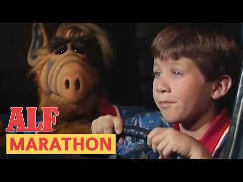 How I imagine ALF would see the new Spiderman movie... 🕸️🍿 ALF | FULL Episode Marathon