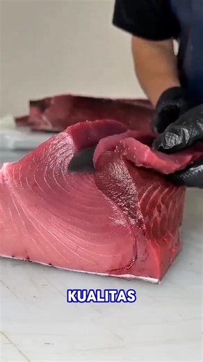 RAHASIA BUDIDAYA IKAN TUNA PREMIUM DI LUAR NEGRI‼️